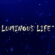 Cuộc Casino Rực Rỡ